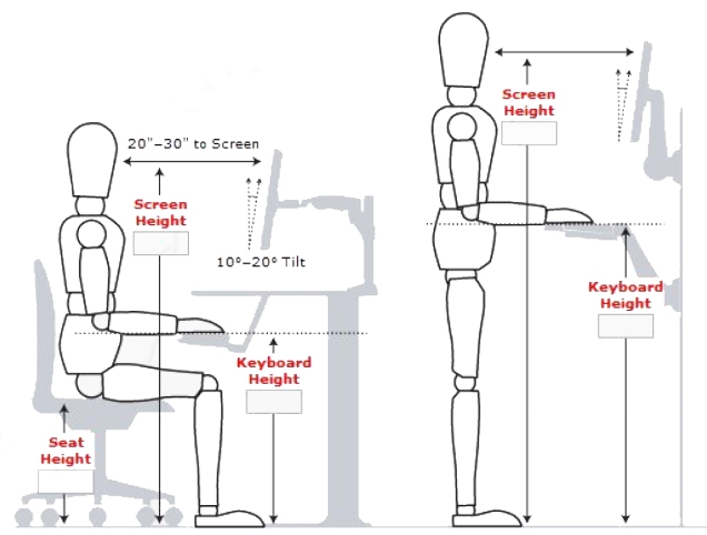 basic sitting and standing postures